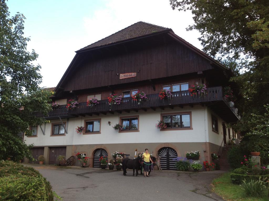 Mattenhof Zell am Harmersbach Exteriér fotografie