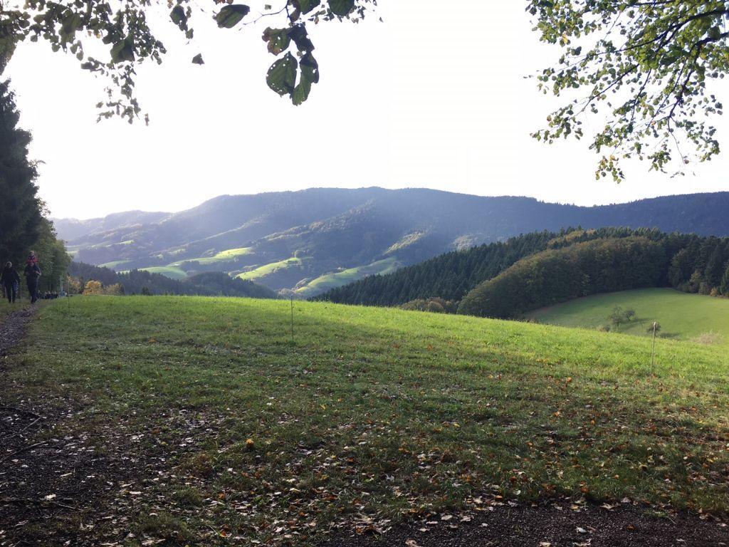 Mattenhof Zell am Harmersbach Exteriér fotografie